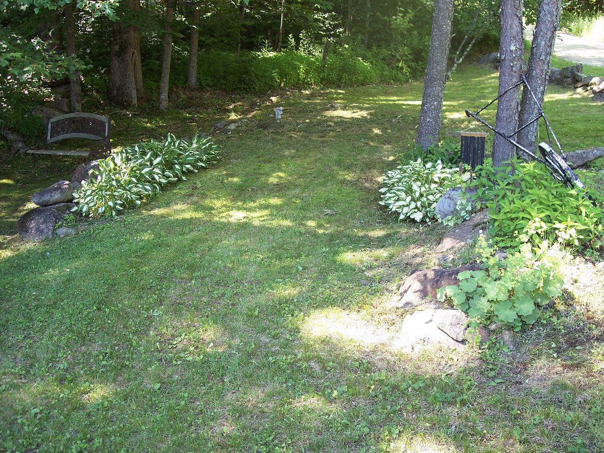 Bed and Breakfast Hummingbird Hill Stoddard Exterior foto